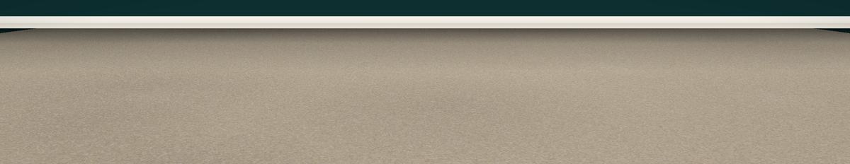 Rendered illustration of a room with a fitted carpet floor
